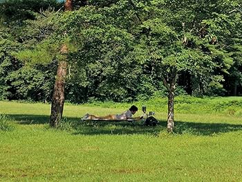  peak コット ベージュ 楽天市場】【ラスト1点】スノーピーク スノーピークコットハイ